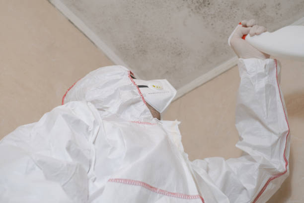 Best Mold Remediation  in Greenville, FL