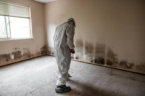 Best Emergency Mold Removal  in Greenville, FL